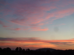 photo18384