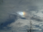 photo18493