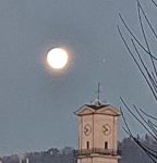 photo18512