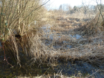 photo18521