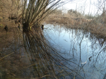 photo18522