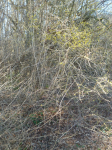 photo18556