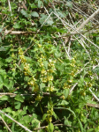 photo18616