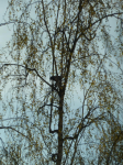 photo18626