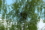 photo18631