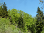 photo18659