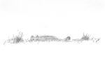 photo18671