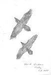 photo18716