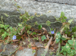 photo18779