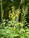 photo18817