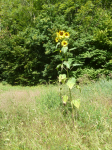 photo18818