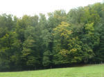 photo18823
