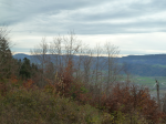 photo18870