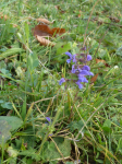 photo18878