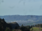 photo18885
