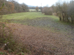 photo18901