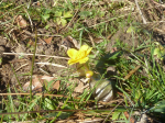 photo18931