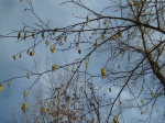 photo18941