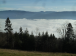photo18944