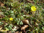 photo18945