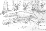 photo18956