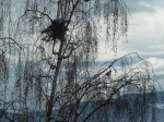 photo18980