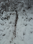 photo18982