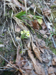 photo19002