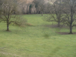 photo19014