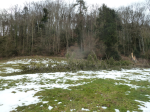 photo19016