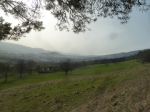 photo19089