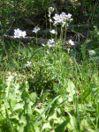 photo19118