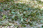 photo19273