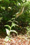 photo19282
