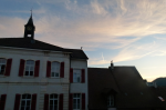 photo19286