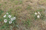 photo19342