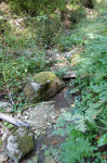 photo19356