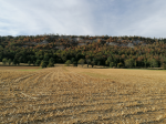 photo19365