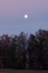 photo19367