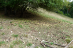 photo19379